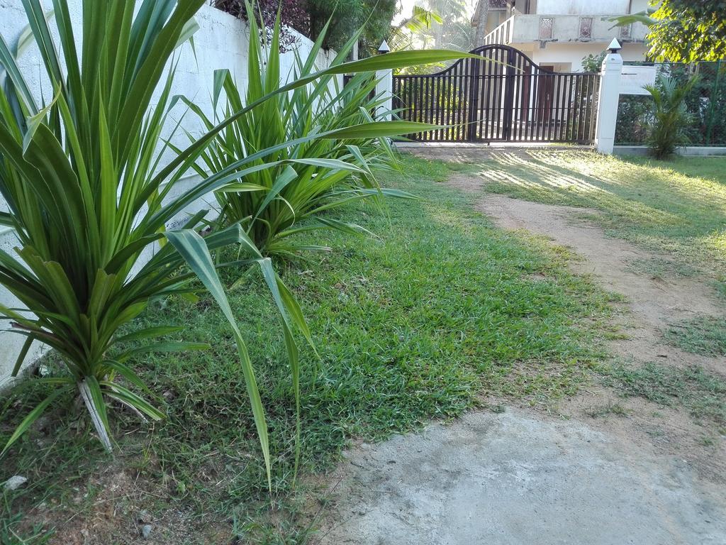 Hotel Beach Corner Weligama Exterior foto